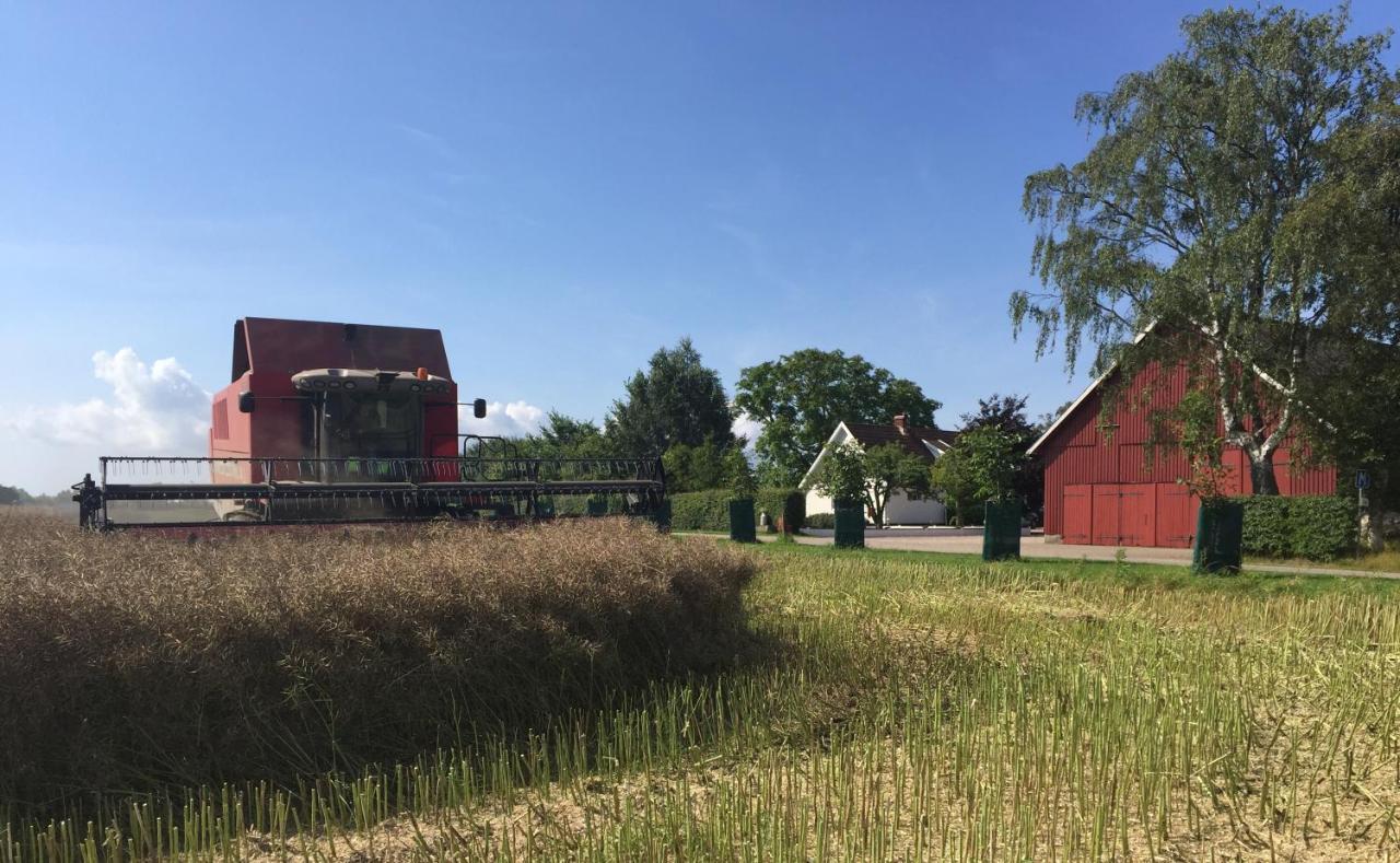 Lyckas Gards Gaestboende Höganäs Kültér fotó